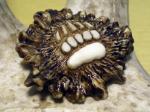 Bear Paw keychain Bear Paw keychain